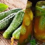 শীতের জন্য চিলি কেচাপে কীভাবে শসা ঢেকে রাখবেন: 3টি অতুলনীয়