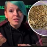 কীভাবে সবুজ সার চয়ন করবেন এবং ফসলের সাথে আপনার প্রতিবেশীদের