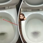 একটি পণ্য টয়লেটকে উজ্জ্বল করে তুলবে: কীভাবে 15 মিনিটের মধ্যে